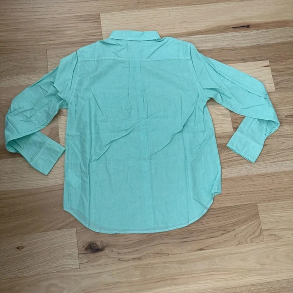 Everlane Classic Preppy Button Down Pinstripe top Size 6 Mint Green Cotton - Picture 9 of 10